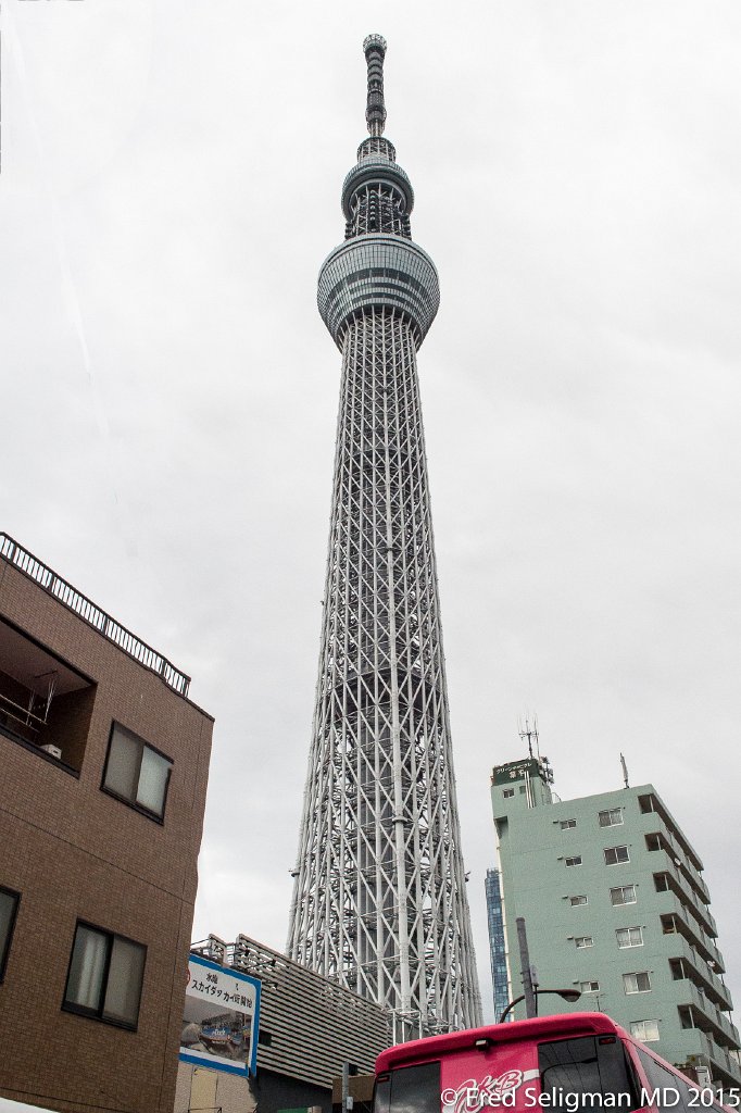 20150310_143058 D4Sedit264.jpg - Tokyo Skytree